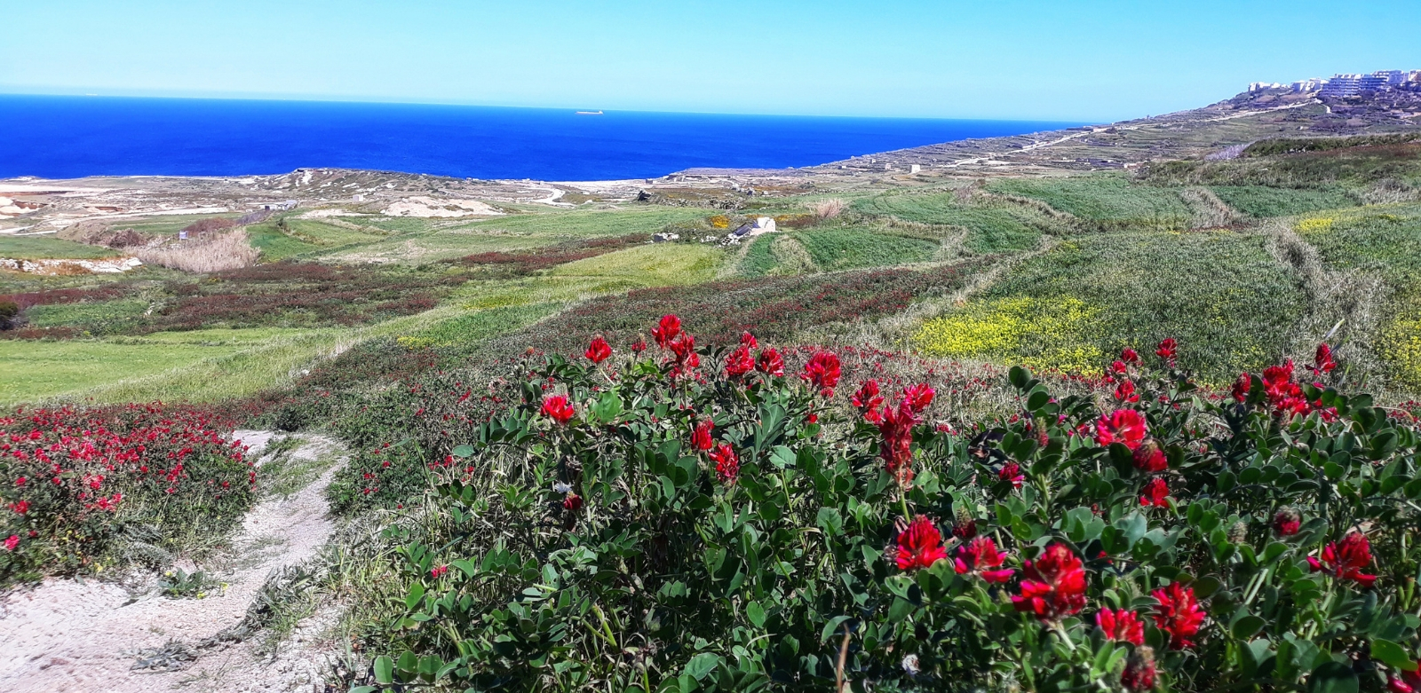 Corsi Dinglese A Gozo Malta Vacanza Studio Esclusiva I